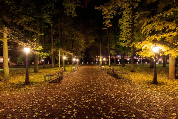 Parque nocturno en otoño con hojas amarillas caídas . — Foto de Stock