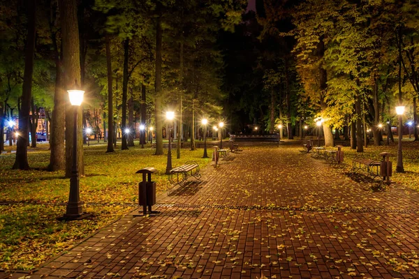 紅葉の秋の夜公園. — ストック写真
