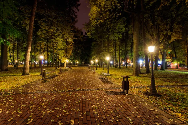 Nachtpark im Herbst mit abgefallenen gelben Blättern. — Stockfoto