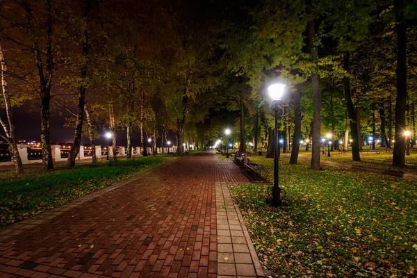 Night park in autumn with fallen yellow leaves. — Stock Photo, Image