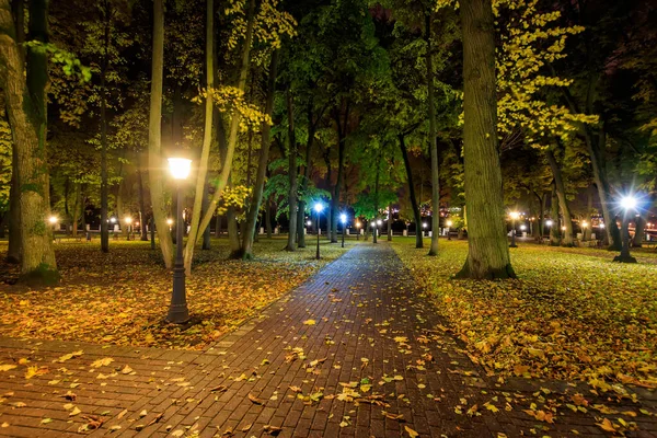 Noční park na podzim s padajícími žlutými listy. — Stock fotografie
