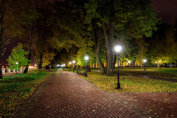 Ночной парк осенью с опавшими жёлтыми листьями . — стоковое фото