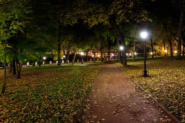 Parque noturno no outono com folhas amarelas caídas . — Fotografia de Stock