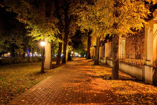 Nachtpark im Herbst mit abgefallenen gelben Blättern. — Stockfoto