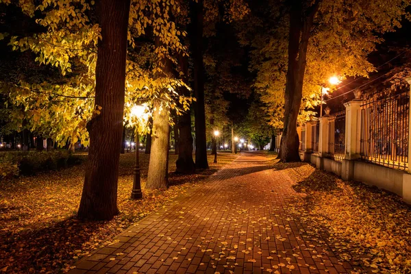 Parque noturno no outono com folhas amarelas caídas . — Fotografia de Stock
