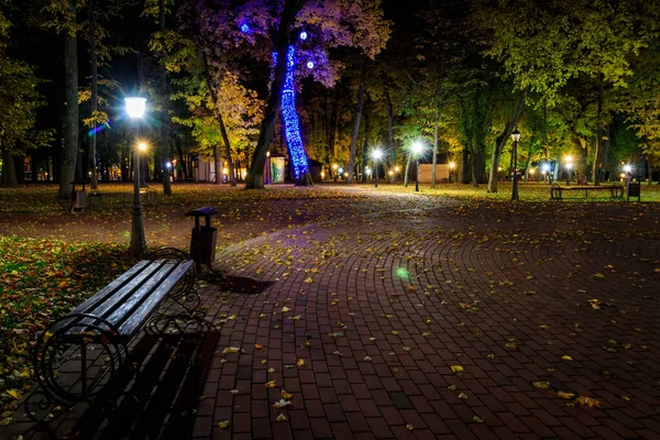 Night park in autumn with fallen yellow leaves. — Stock Photo, Image