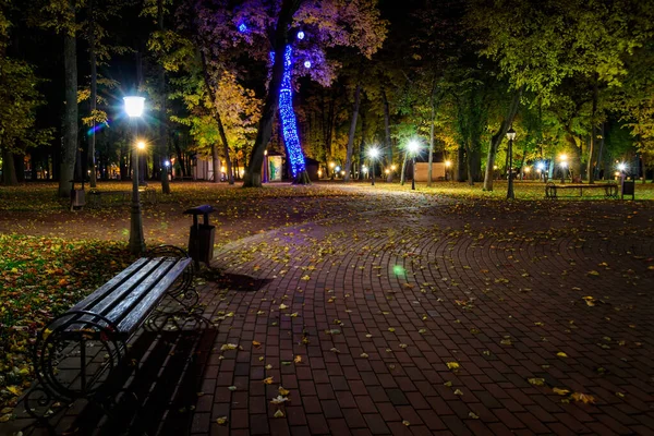 Nachtpark in de herfst met omgevallen gele bladeren. — Stockfoto