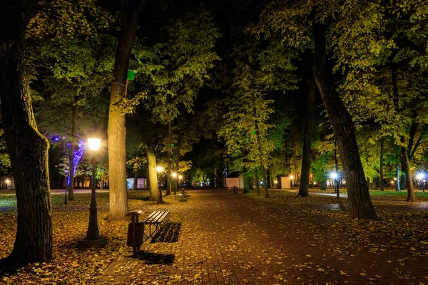 Éjszakai park ősszel lehullott sárga levelekkel. — Stock Fotó