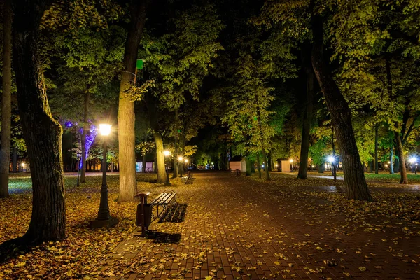 Parco notturno in autunno con foglie gialle cadute . — Foto Stock