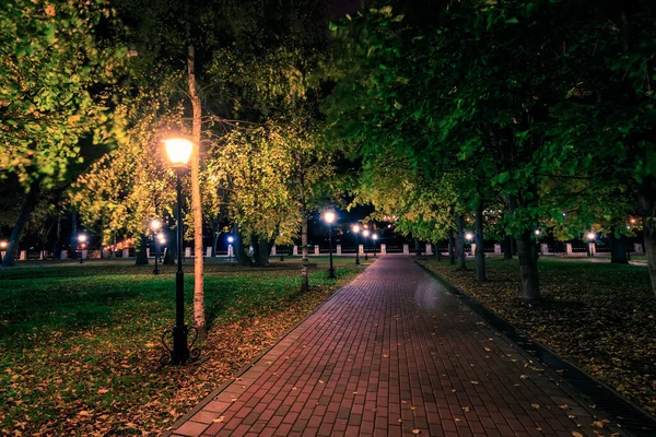 Parque noturno no outono com folhas amarelas caídas . — Fotografia de Stock