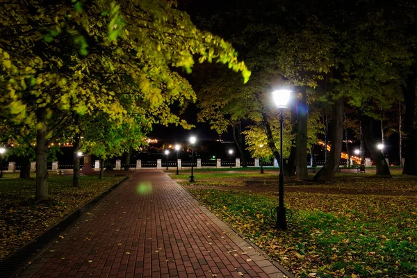 Parque noturno no outono com folhas amarelas caídas . — Fotografia de Stock