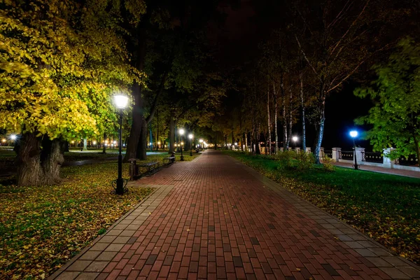 Parque nocturno en otoño con hojas amarillas caídas . — Foto de Stock