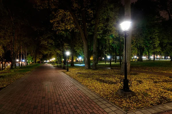 Noční park na podzim s padajícími žlutými listy. — Stock fotografie