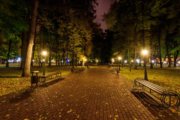 Parque nocturno en otoño con hojas amarillas caídas . — Foto de Stock