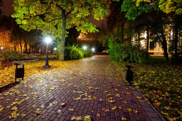 Noční park na podzim s padajícími žlutými listy. — Stock fotografie