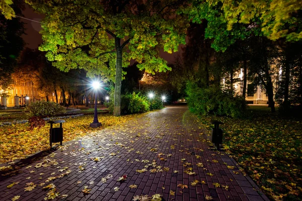 Nachtpark im Herbst mit abgefallenen gelben Blättern. — Stockfoto