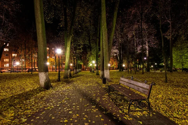 Parque nocturno en otoño con hojas amarillas caídas . —  Fotos de Stock