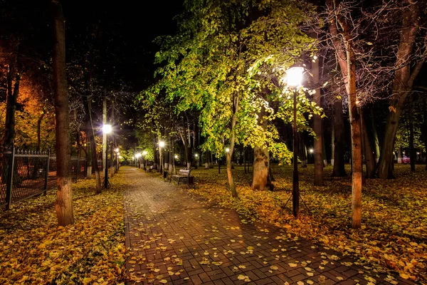 Nachtpark im Herbst mit abgefallenen gelben Blättern. — Stockfoto