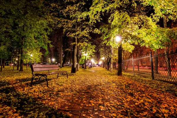 Nachtpark im Herbst mit abgefallenen gelben Blättern. — Stockfoto