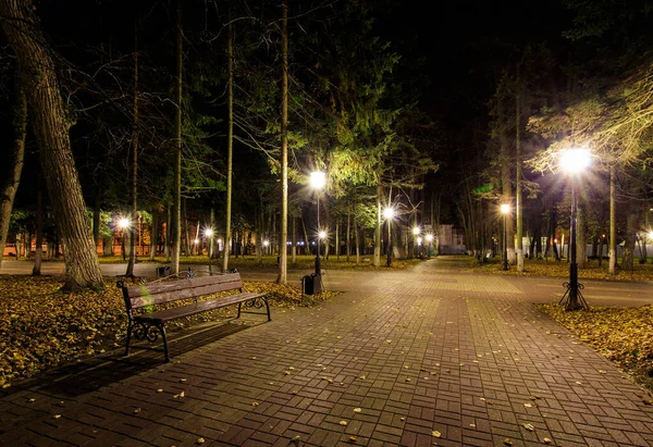 Parque nocturno en otoño con hojas amarillas caídas . — Foto de Stock