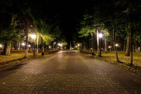 紅葉の秋の夜公園. — ストック写真