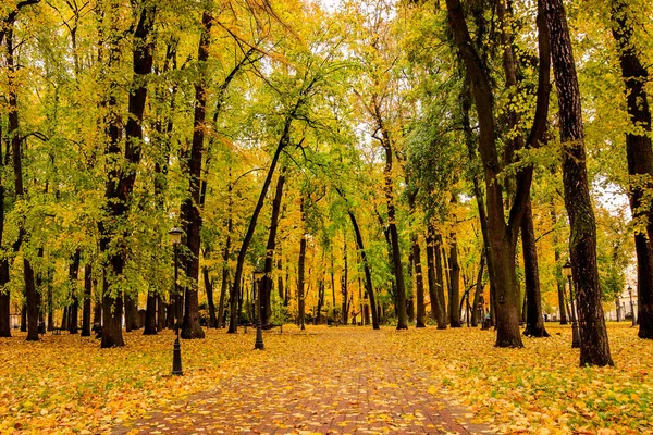 Листя падає в парку восени з картами . — стокове фото