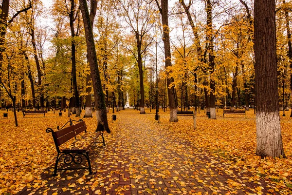 Caída de hojas en el parque en otoño con banco . — Foto de Stock