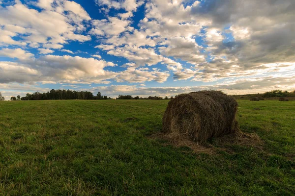 Fält med höstack vid solnedgången tidigt på hösten — Stockfoto