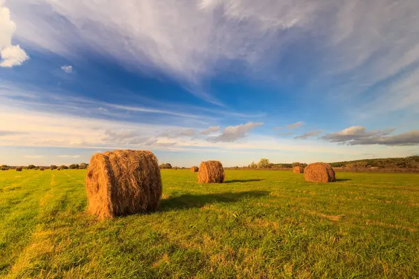 Field with haystacks at sunset in early autumn — Stock Photo, Image