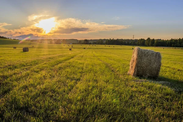 Um campo com pilhas em um pôr do sol . — Fotografia de Stock