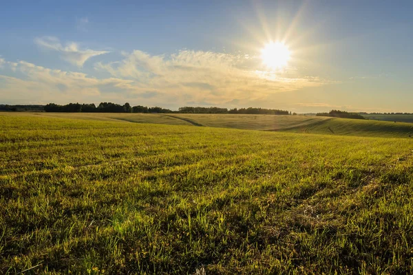 Un campo con pile su un tramonto . — Foto Stock