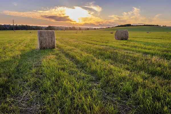 Um campo com pilhas em um pôr do sol . — Fotografia de Stock