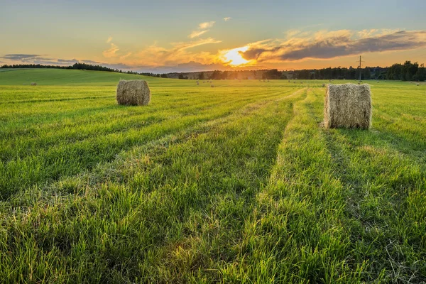 A field with stacks on a sunset. — Stock Photo, Image