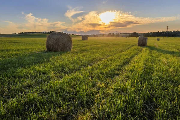 Een veld met stapels op een zonsondergang. — Stockfoto