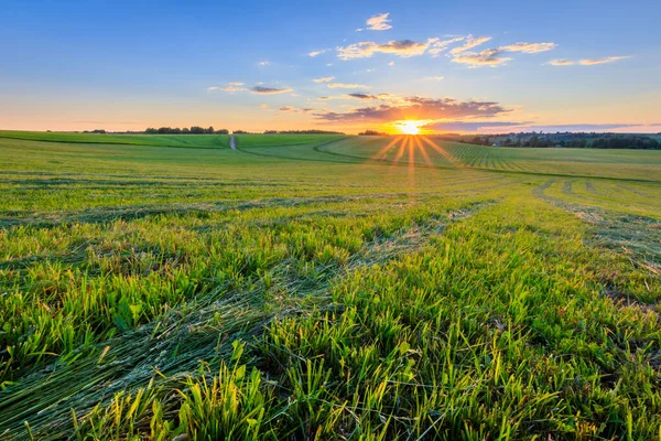 Pôr do sol em terras cultivadas no campo em um verão . — Fotografia de Stock