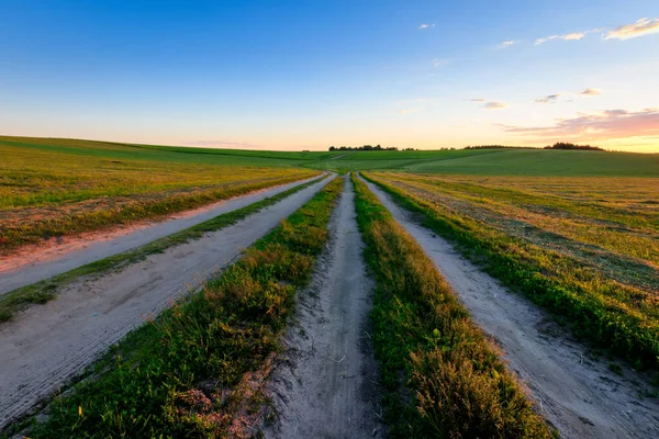 Road through cultivating the land in the countryside. — Stock Photo, Image