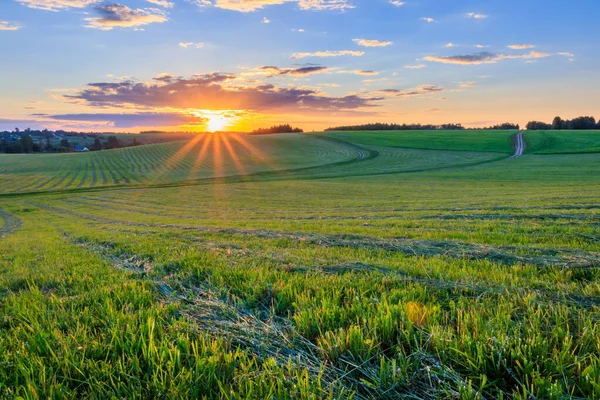 Схід сонця на оброблюваних землях в сільській місцевості влітку . — стокове фото