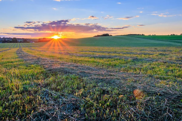 Схід сонця на оброблюваних землях в сільській місцевості влітку . — стокове фото