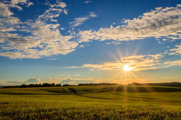 Puesta de sol en tierras cultivadas en el campo en un verano . — Foto de Stock