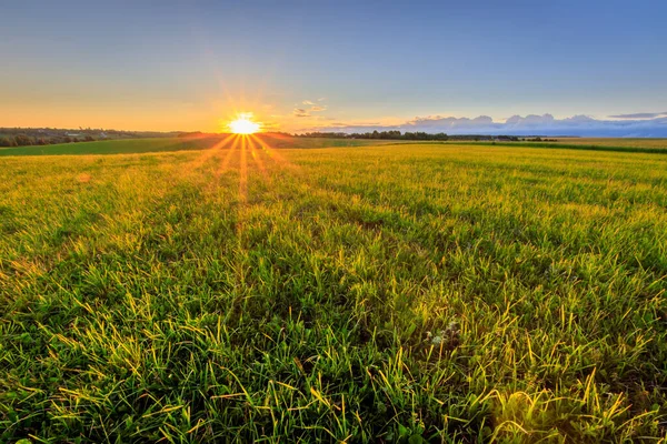 Ηλιοβασίλεμα σε καλλιεργούμενη γη στην ύπαιθρο ένα καλοκαίρι. — Φωτογραφία Αρχείου