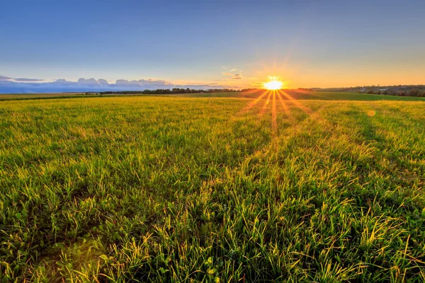Pôr do sol em terras cultivadas no campo em um verão . — Fotografia de Stock