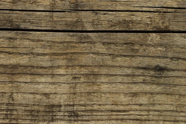 Текстура серого дерева . — стоковое фото