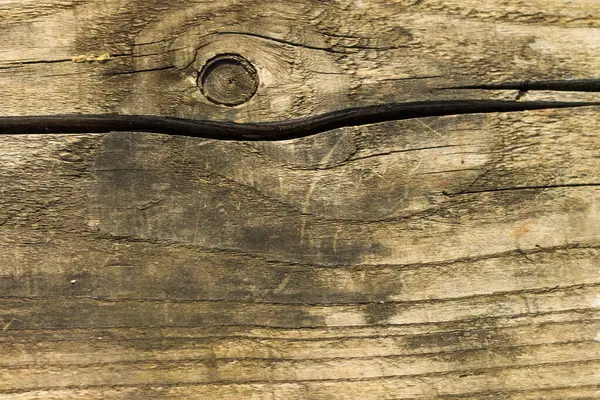 Grey wood texture. — Stock Photo, Image