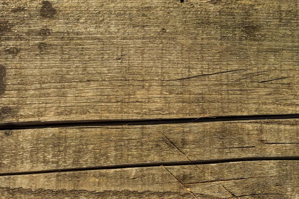 Textura de madeira cinza . — Fotografia de Stock