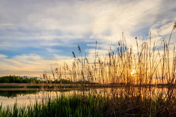 Vista panorámica de la hermosa puesta de sol sobre el estanque — Foto de Stock