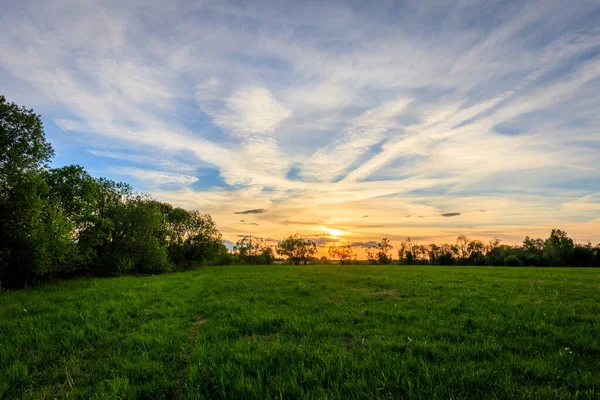 Scéna krásného západu slunce na letních polích s vrbami a trávou — Stock fotografie