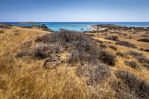 Chrissy paysage insulaire par une journée d'été ensoleillée avec des arbres secs, sol brun et ciel bleu clair avec brume . — Photo