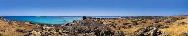 Güneşli bir yaz gününde, Chrissy Adası manzarası kuru ağaçlar, kahverengi toprak ve sisli mavi gökyüzü.. — Stok fotoğraf