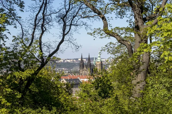 Vista desde la cima del Castillo de Praga . — Foto de Stock