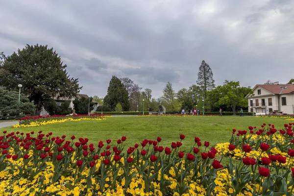 Royal Garden of Prague Castle with flowers.